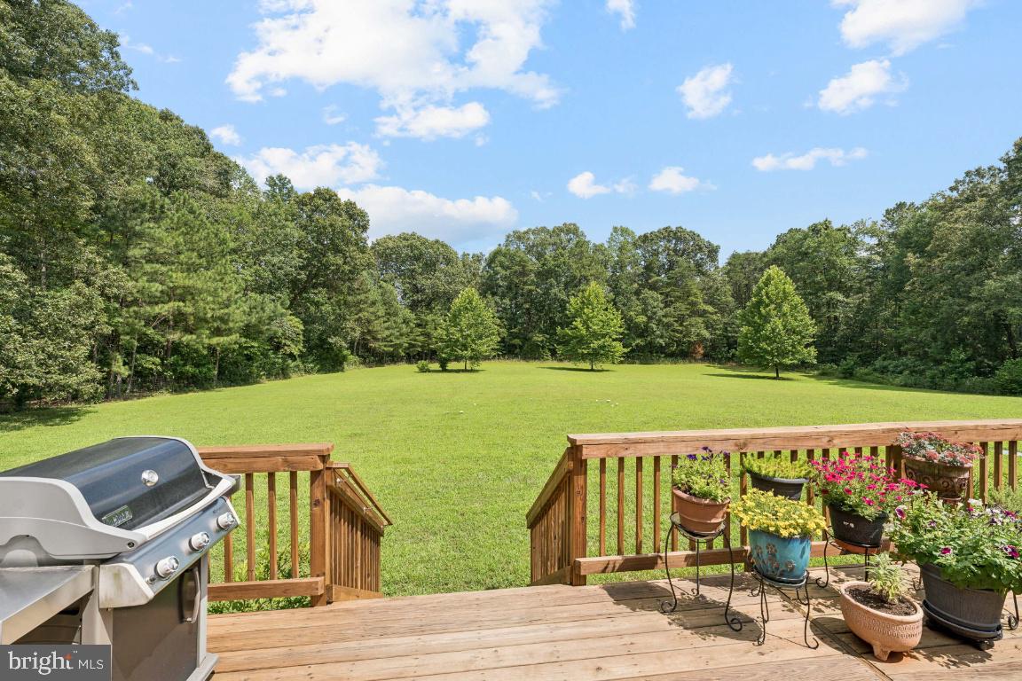 18167 Locust Grove Road Bowling Green, VA 22427 - Photo 22 of 25 Gallery Image 22