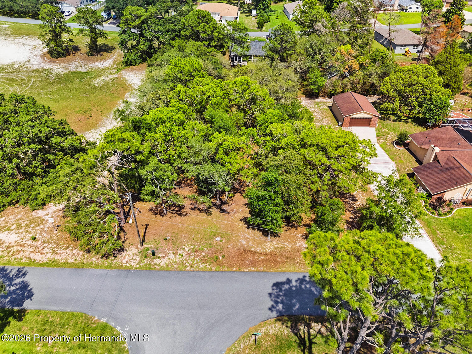 0 Staten Avenue Spring Hill, FL 34609 - Photo 6 of 12