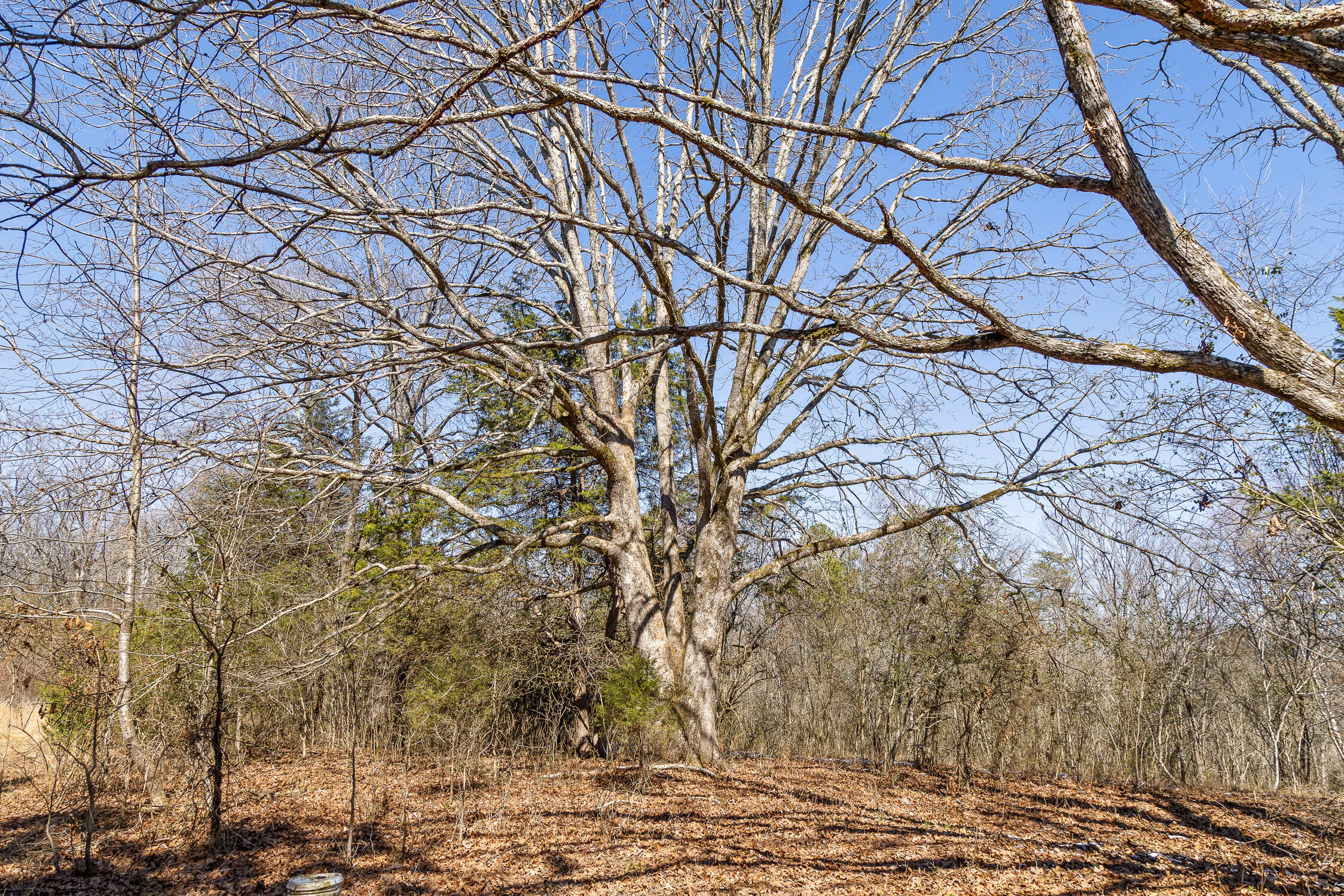 --- Andy Thomas Road, Unit 187 Dayton, TN 37321 - Photo 11 of 45 Pierce-5