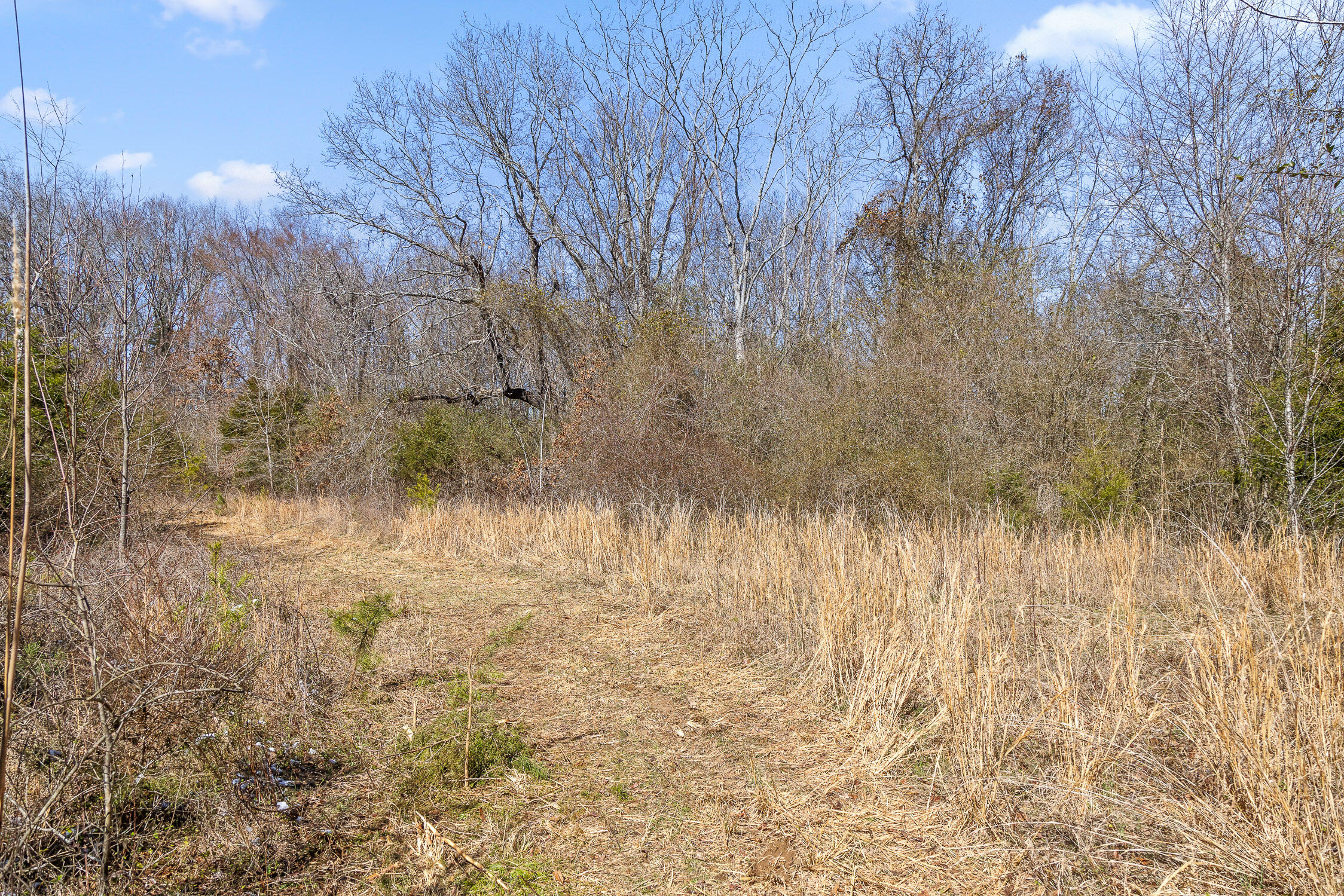 --- Andy Thomas Road, Unit 187 Dayton, TN 37321 - Photo 13 of 45 Pierce-7