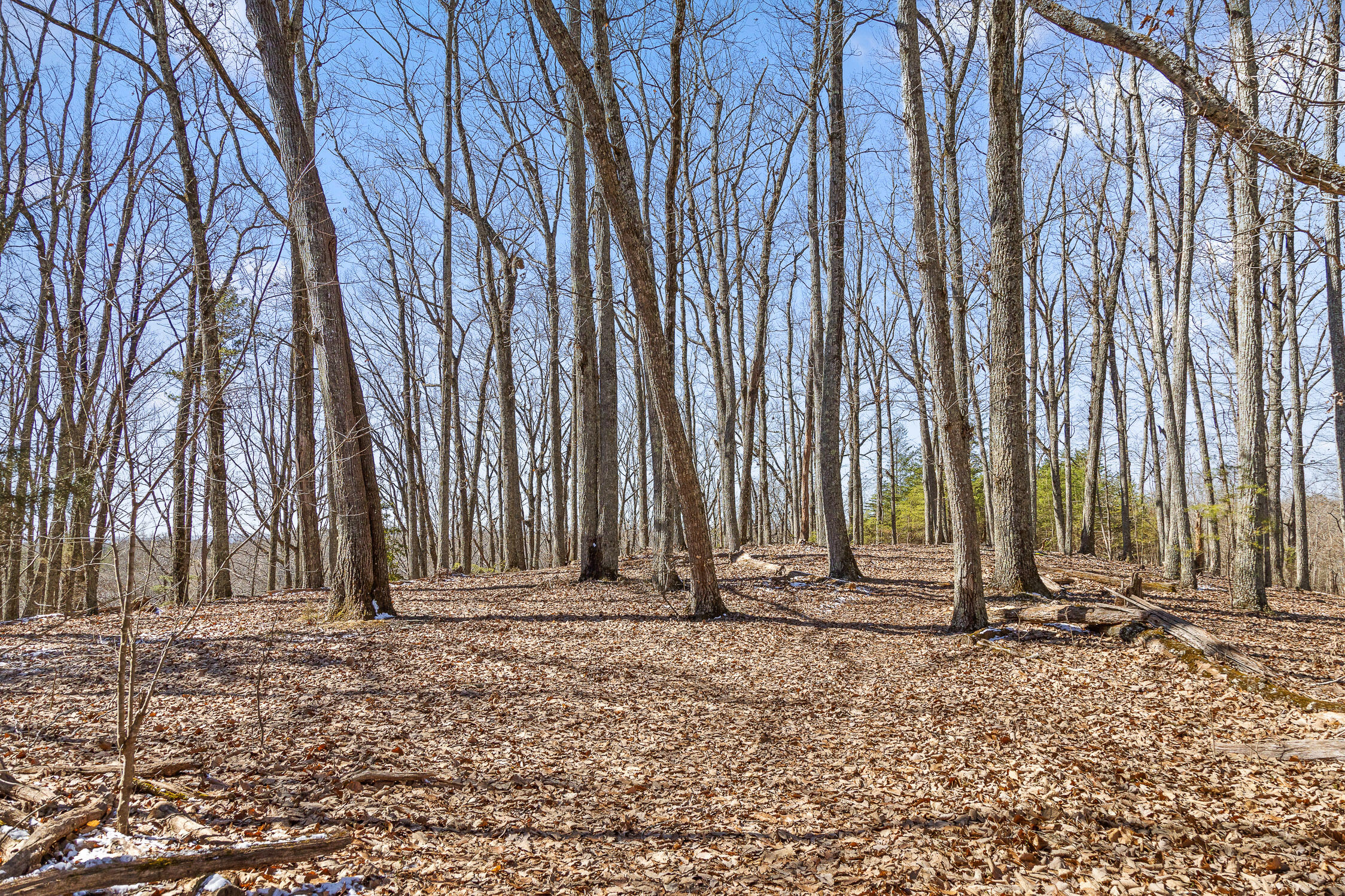 --- Andy Thomas Road, Unit 187 Dayton, TN 37321 - Photo 15 of 45 Pierce-10