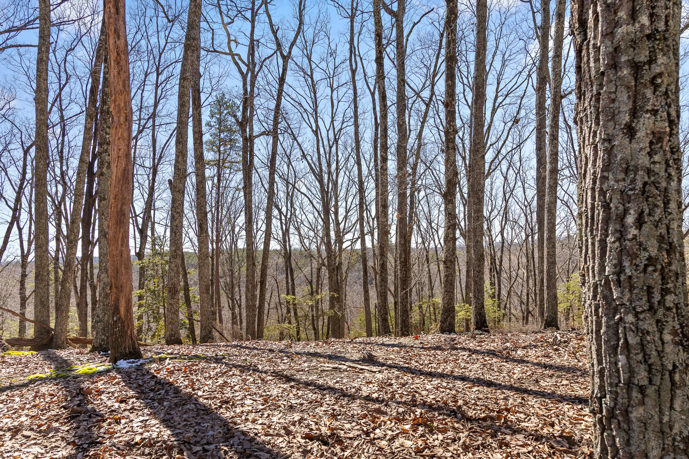 --- Andy Thomas Road, Unit 187 Dayton, TN 37321 - Photo 18 of 45 Pierce-14