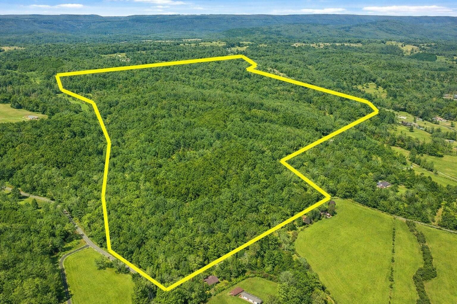 --- Andy Thomas Road, Unit 187 Dayton, TN 37321 - Photo 2 of 45 Green with lines Pierce Hill