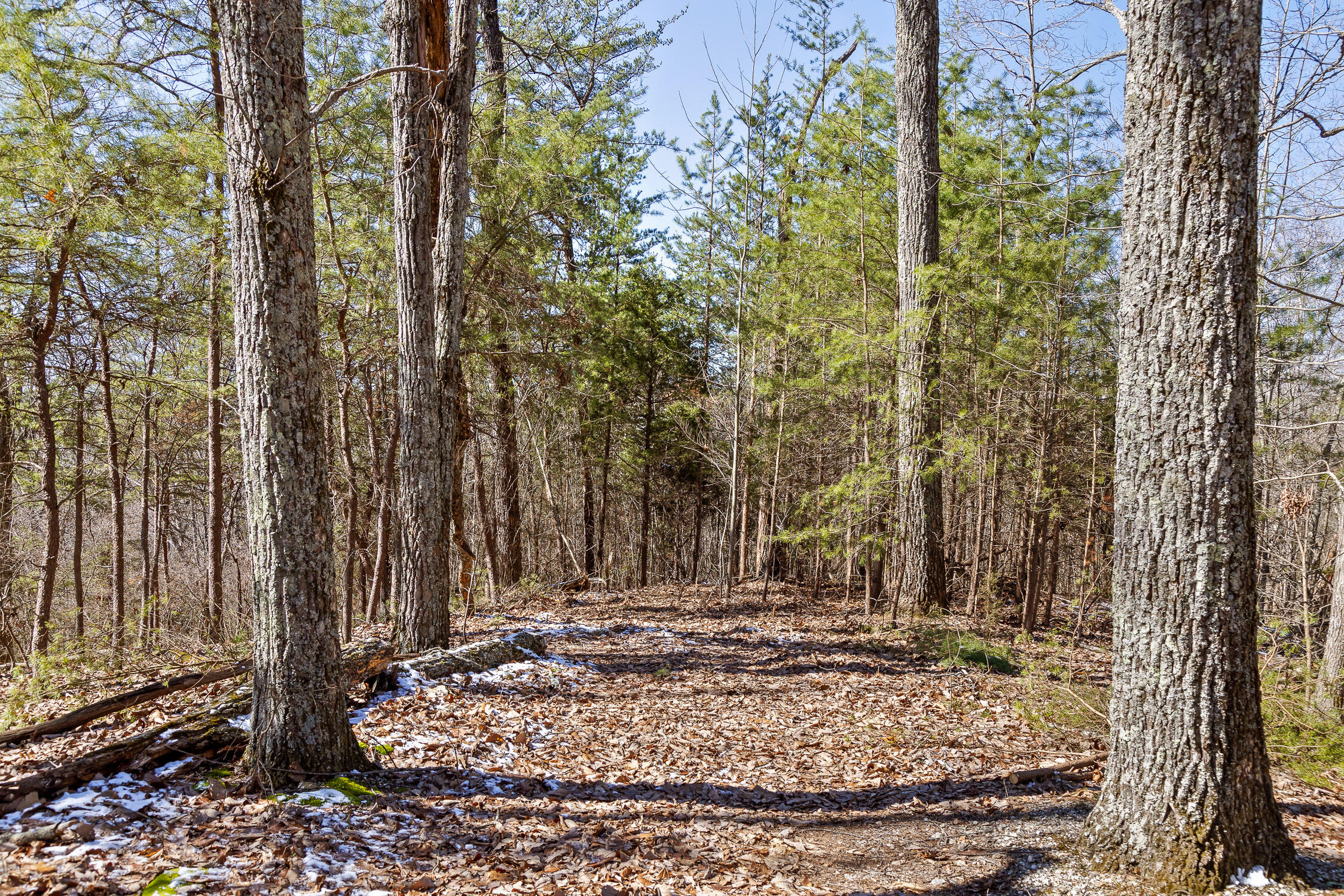 --- Andy Thomas Road, Unit 187 Dayton, TN 37321 - Photo 22 of 45 Pierce-18