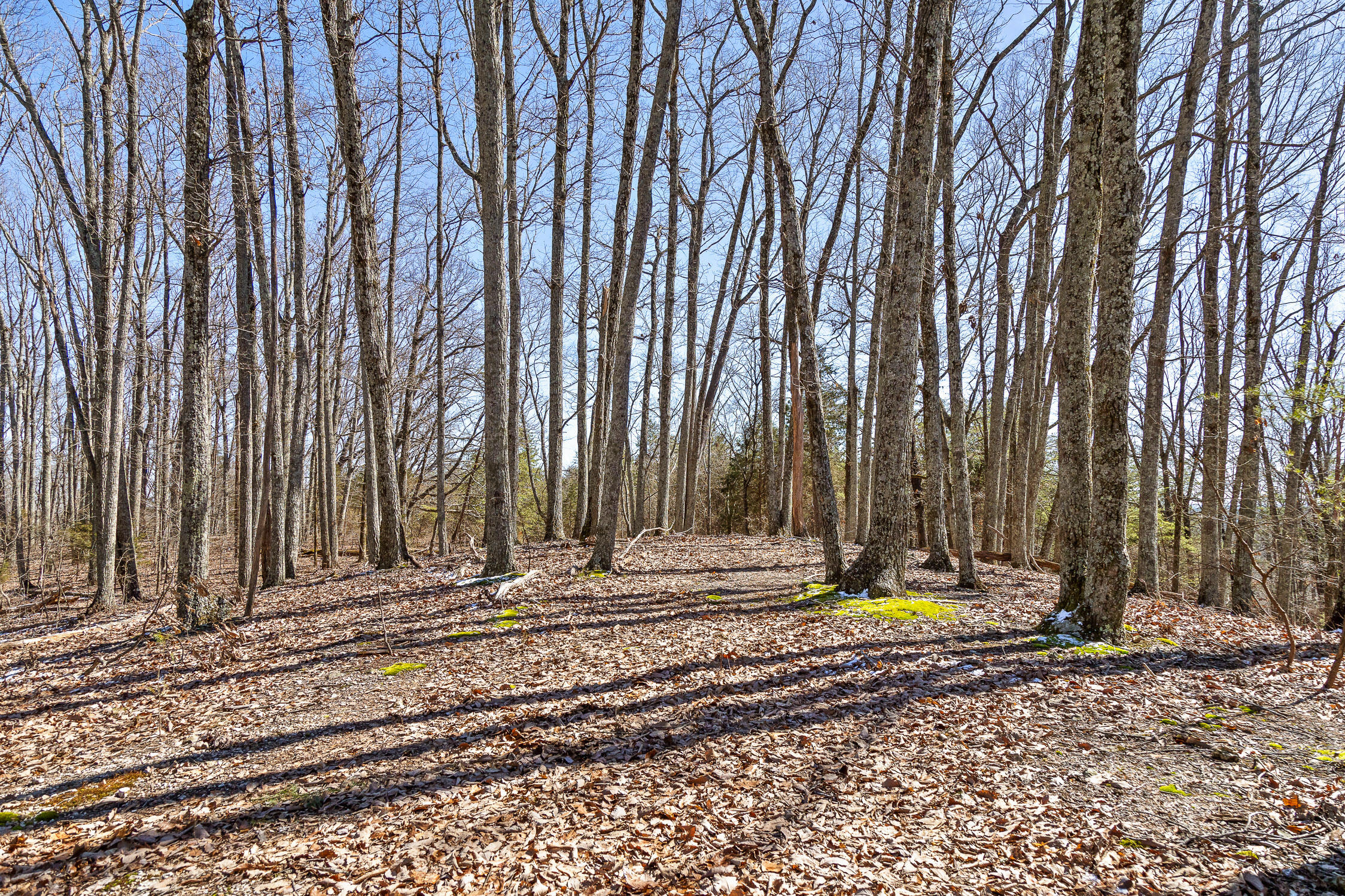 --- Andy Thomas Road, Unit 187 Dayton, TN 37321 - Photo 23 of 45 Pierce-19