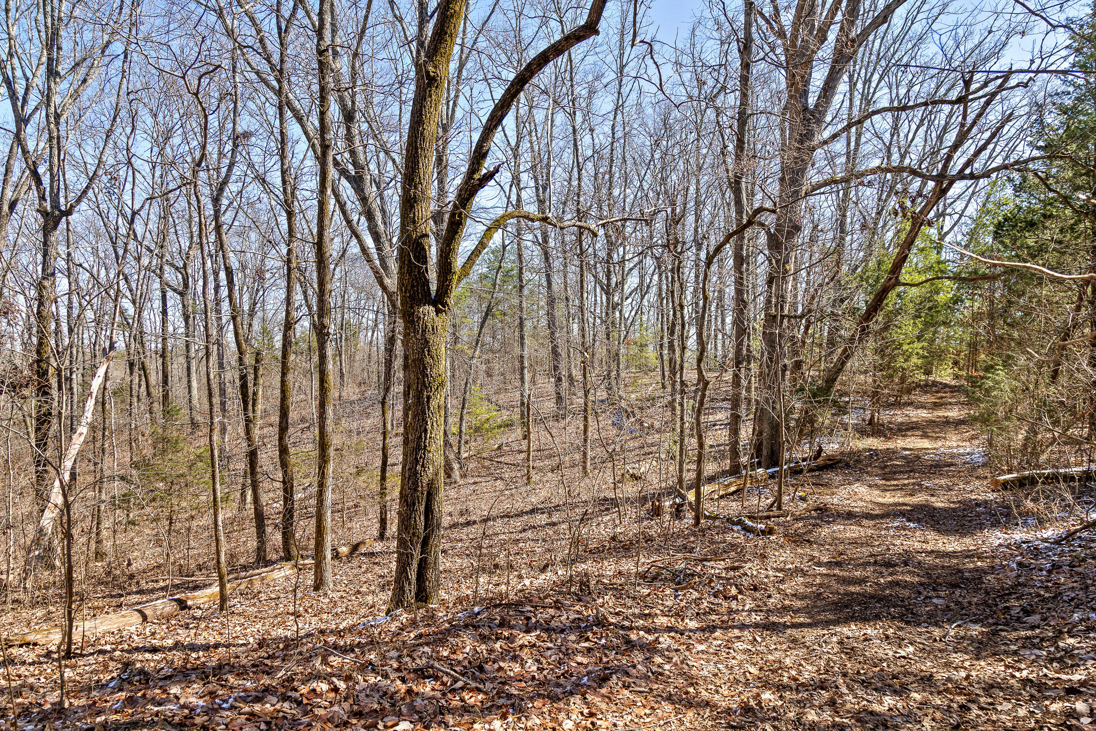 --- Andy Thomas Road, Unit 187 Dayton, TN 37321 - Photo 24 of 45 Pierce-20