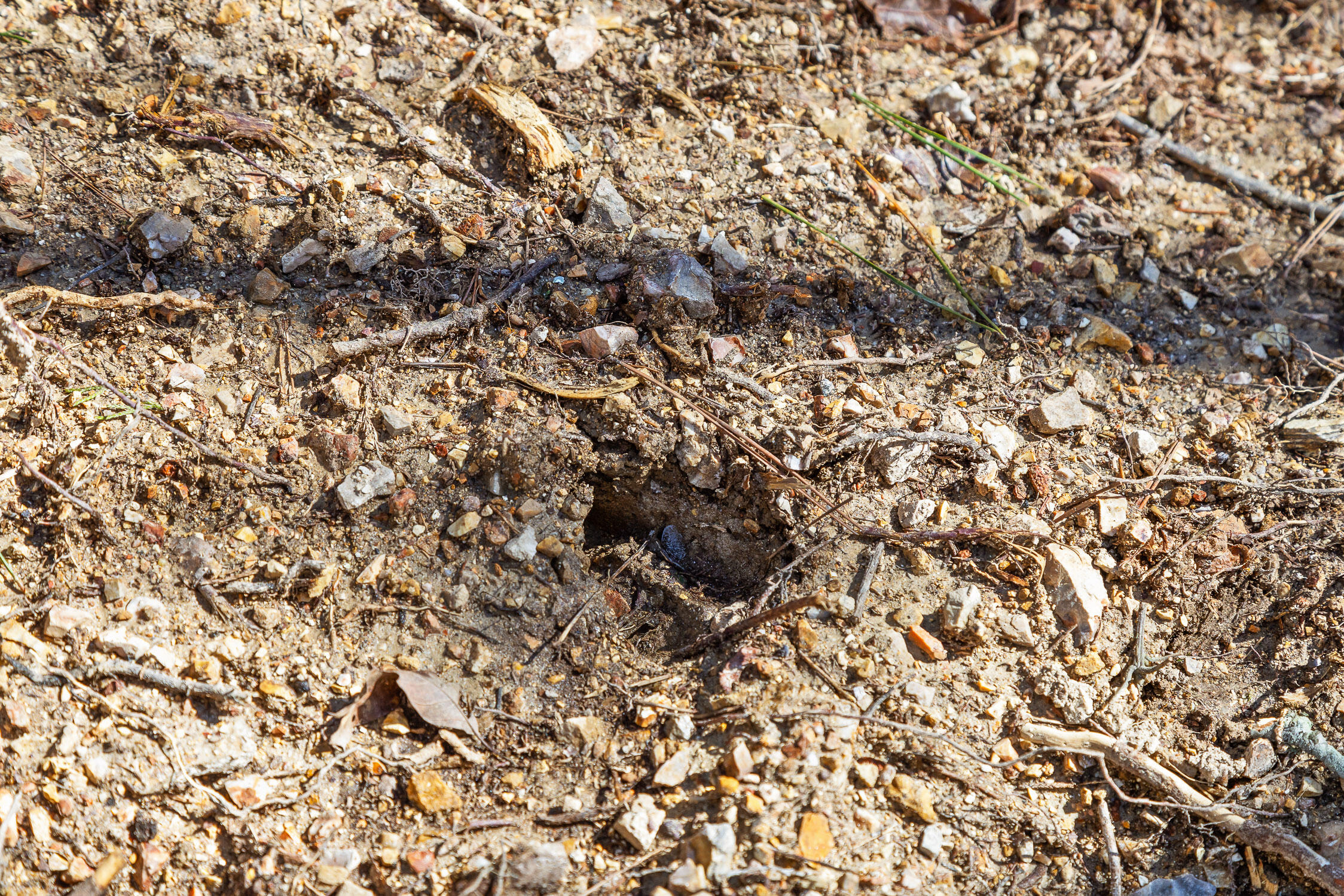 --- Andy Thomas Road, Unit 187 Dayton, TN 37321 - Photo 25 of 45 Pierce-21