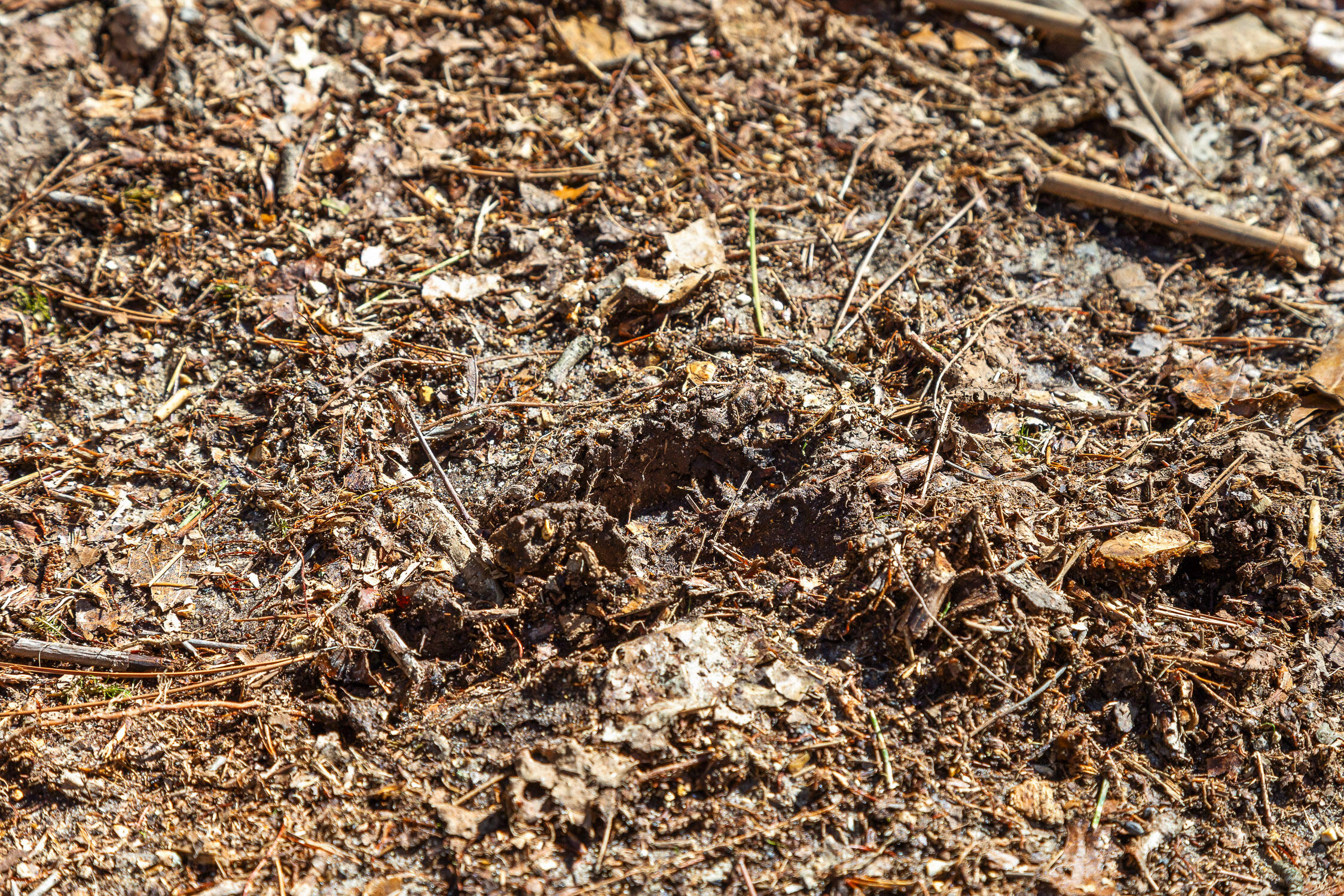 --- Andy Thomas Road, Unit 187 Dayton, TN 37321 - Photo 26 of 45 Pierce-22