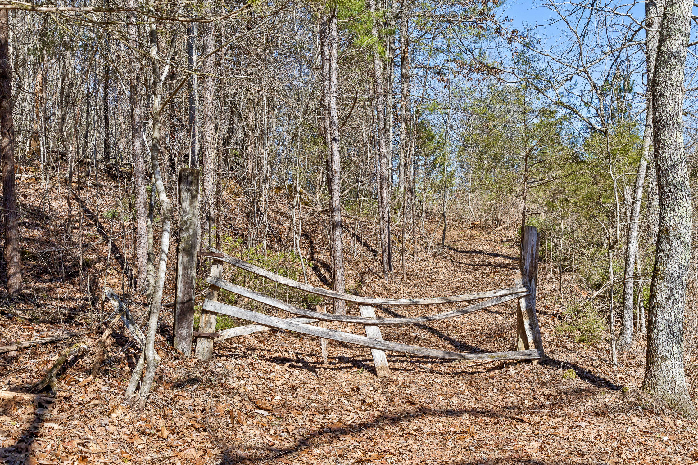 --- Andy Thomas Road, Unit 187 Dayton, TN 37321 - Photo 27 of 45 Pierce-23