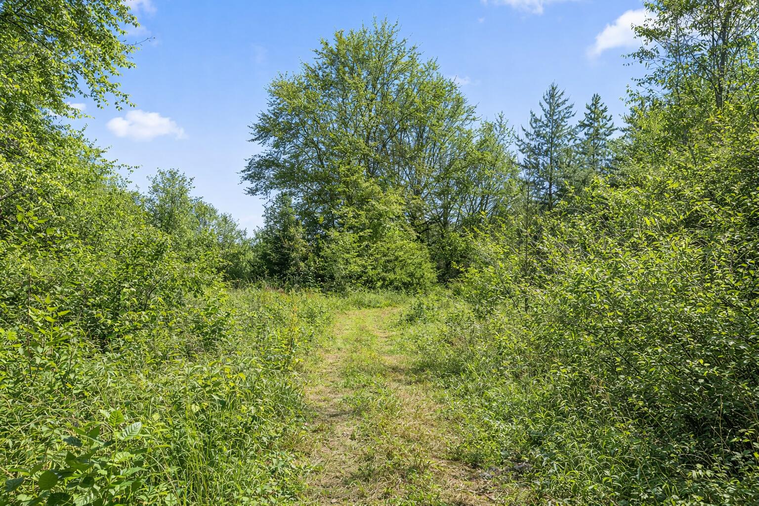 --- Andy Thomas Road, Unit 187 Dayton, TN 37321 - Photo 3 of 45 green trail