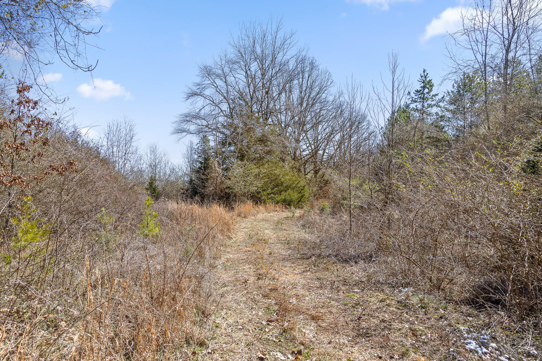 --- Andy Thomas Road, Unit 187 Dayton, TN 37321 - Photo 41 of 45 Pierce-8