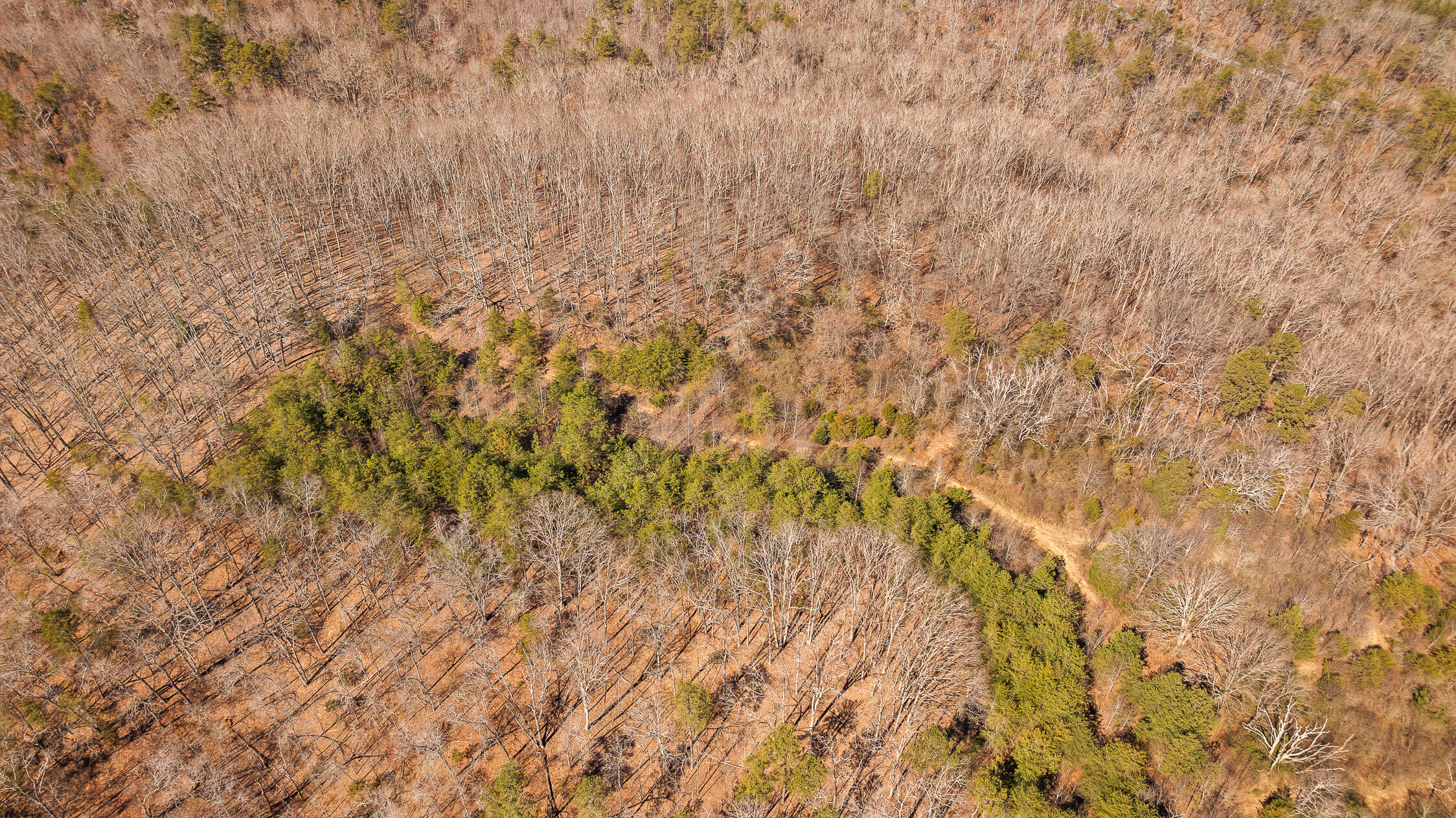 --- Andy Thomas Road, Unit 187 Dayton, TN 37321 - Photo 44 of 45 Pierce-41