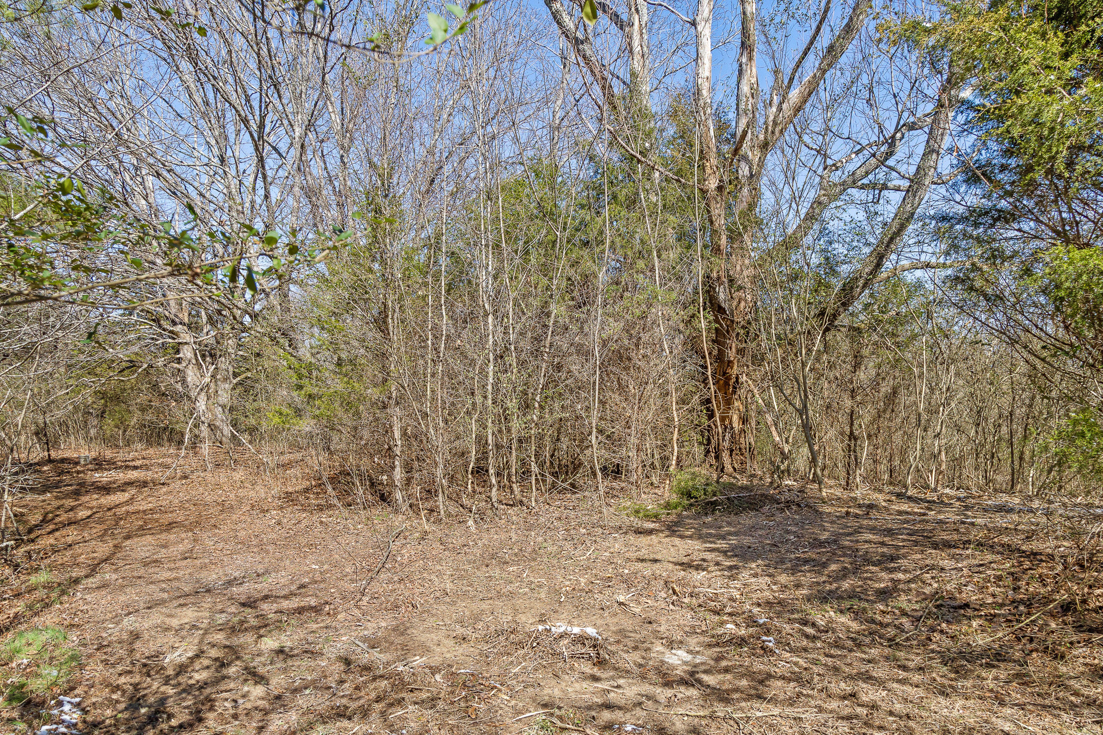 --- Andy Thomas Road, Unit 187 Dayton, TN 37321 - Photo 10 of 45 Pierce-4