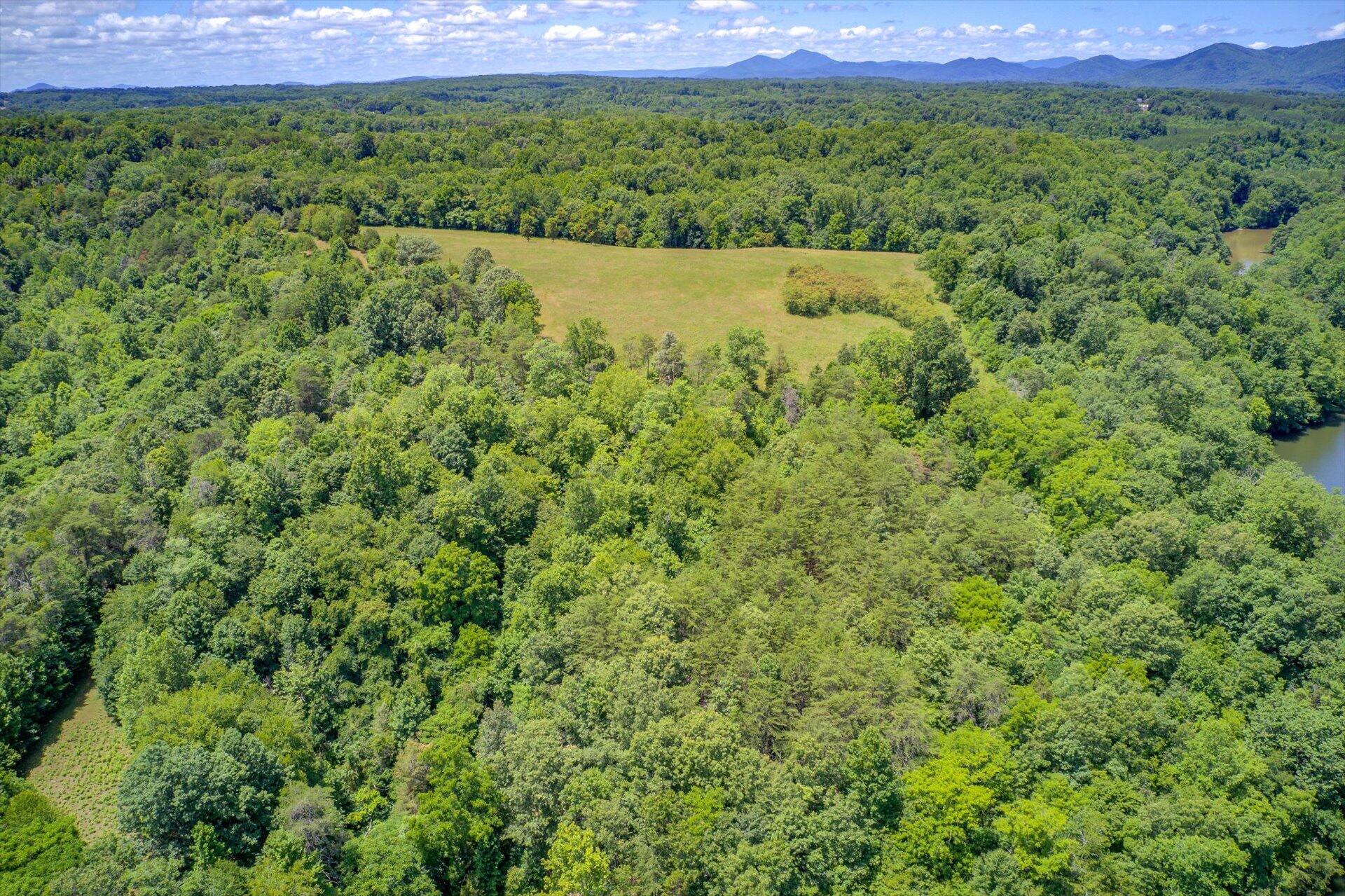3718 Hardy Road Hardy, VA 24101 - Photo 18 of 26 17-062920210013