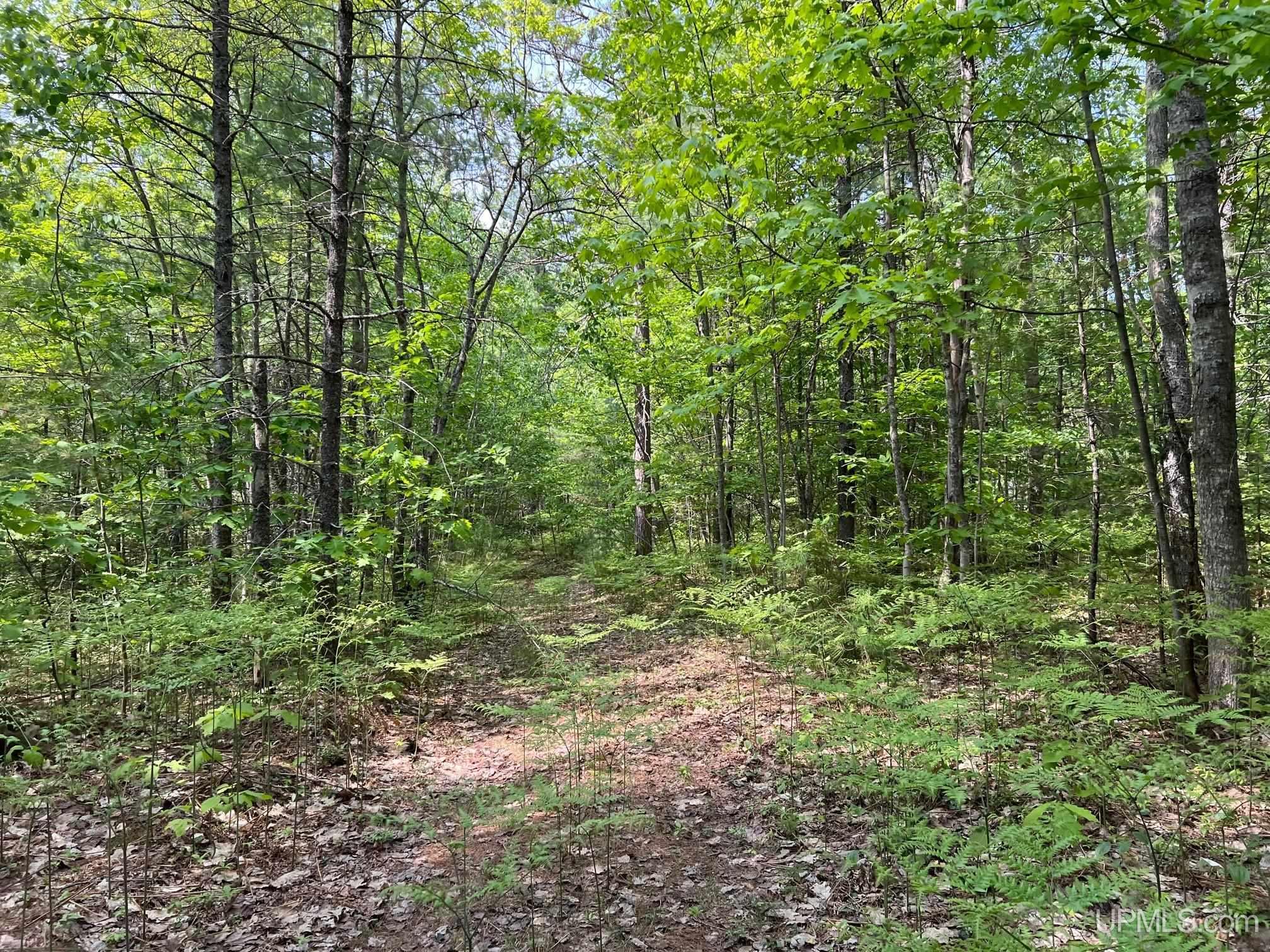 Tbd Powell Lake Road Wetmore, MI 49895 - Photo 1 of 13