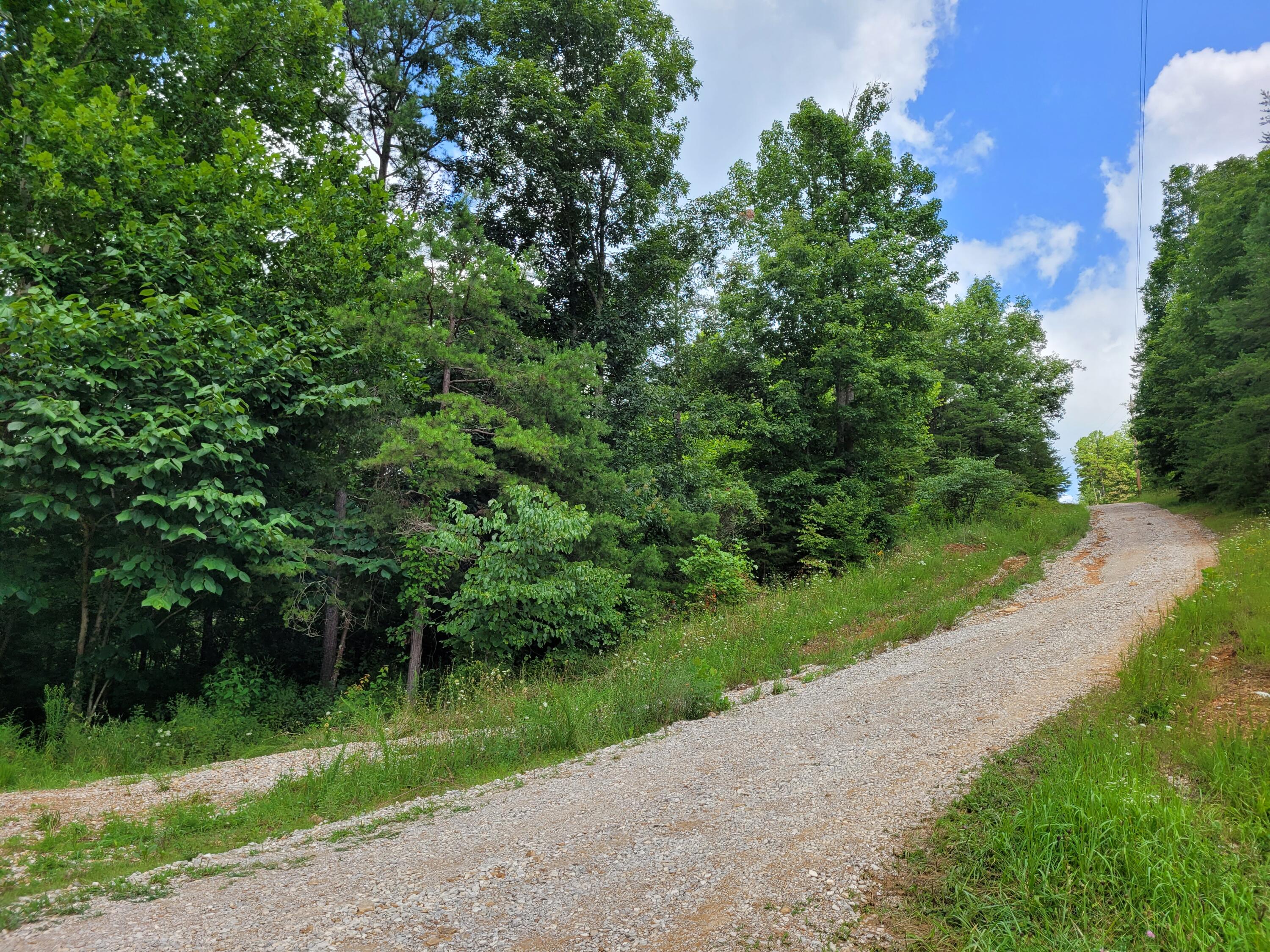 94 Boss Vaughn Road Annville, KY 40402 - Photo 11 of 67 20210811_123836