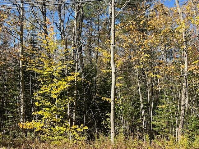 288 Ryerson Hill Road Paris, ME 04281 - Photo 3 of 4 288 Ryerson Hill Road B