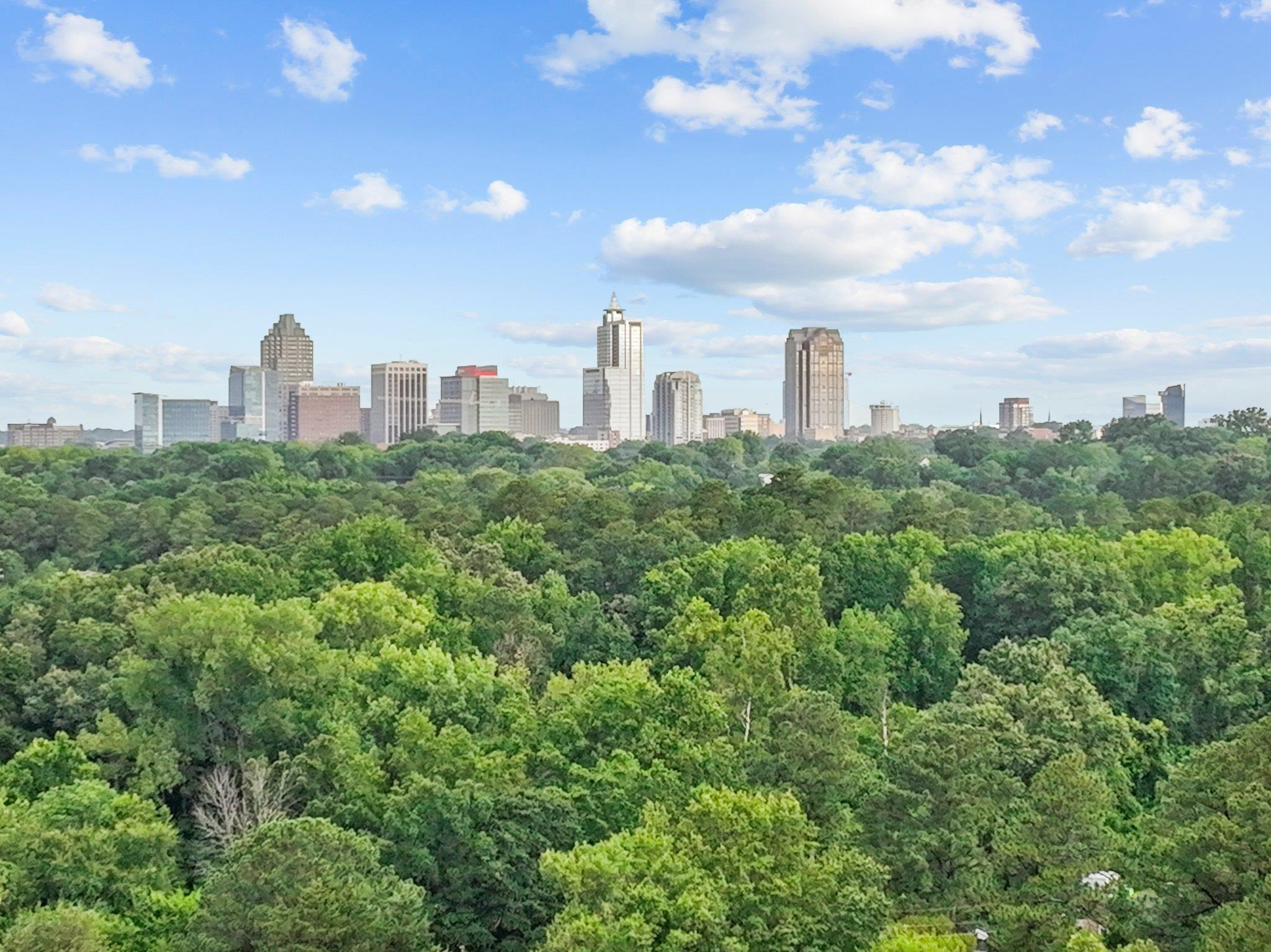 29 Enterprise Street, Unit 301 Raleigh, NC 27607 - Photo 3 of 11 a view of a city with tall buildings
