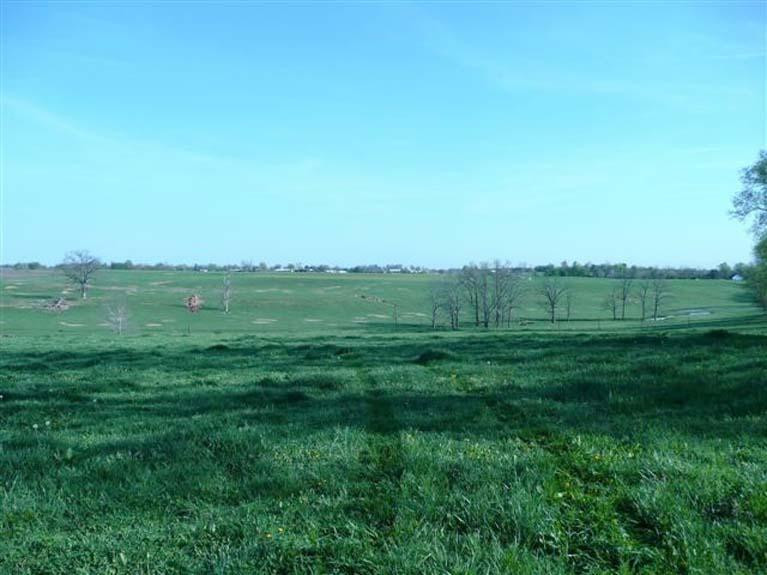 912 Shannon Run Road Versailles, KY 40383 - Photo 11 of 22 Photo 11