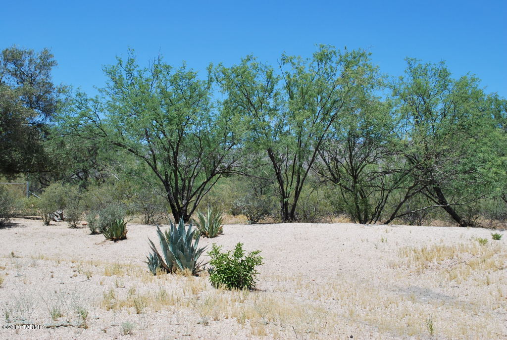 3405 North Wendell Road Tucson, AZ 85749 - Photo 13 of 16 Gallery Image 13