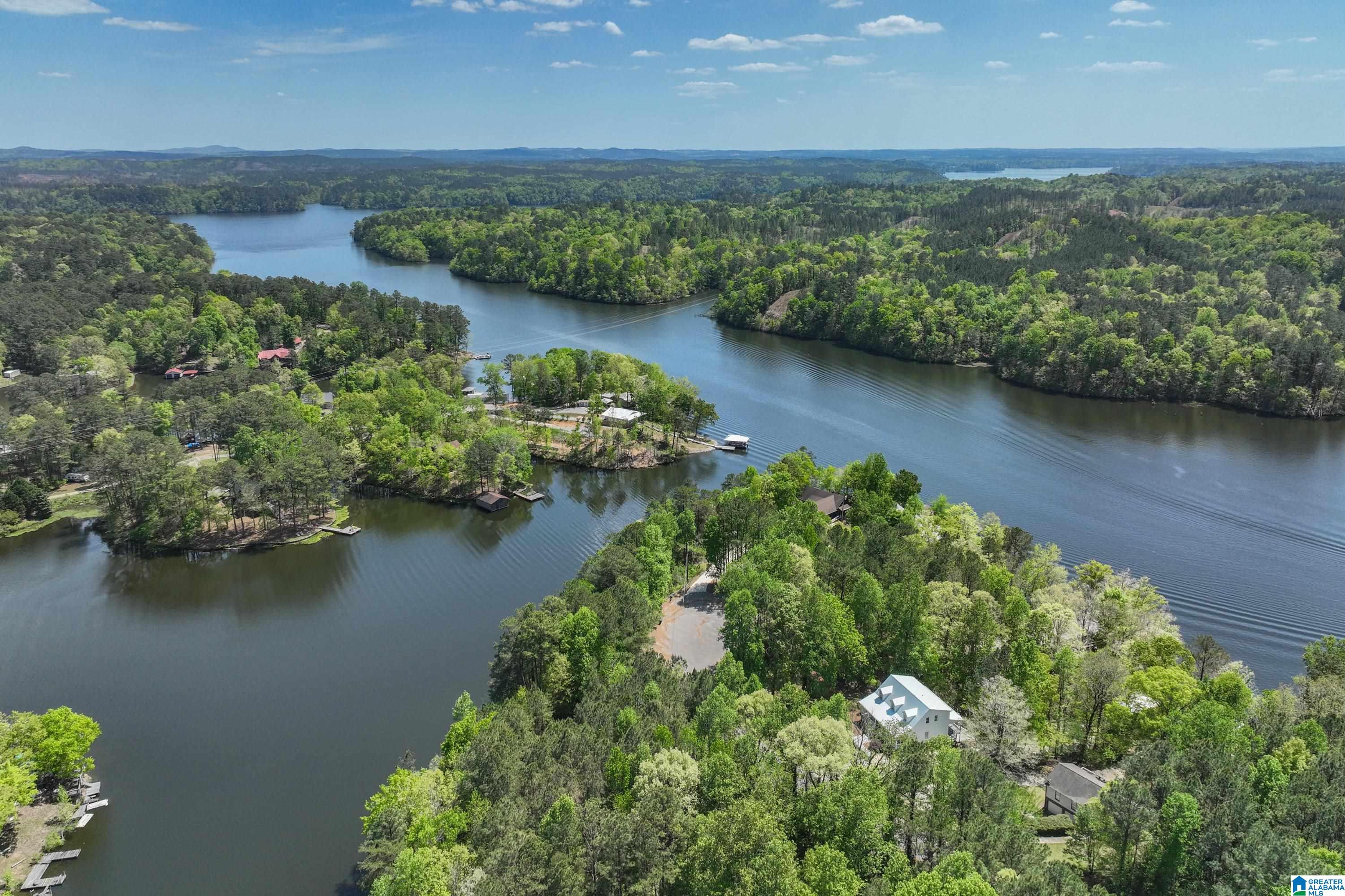 358 Ridge Drive Shelby, AL 35143 - Photo 70 of 94