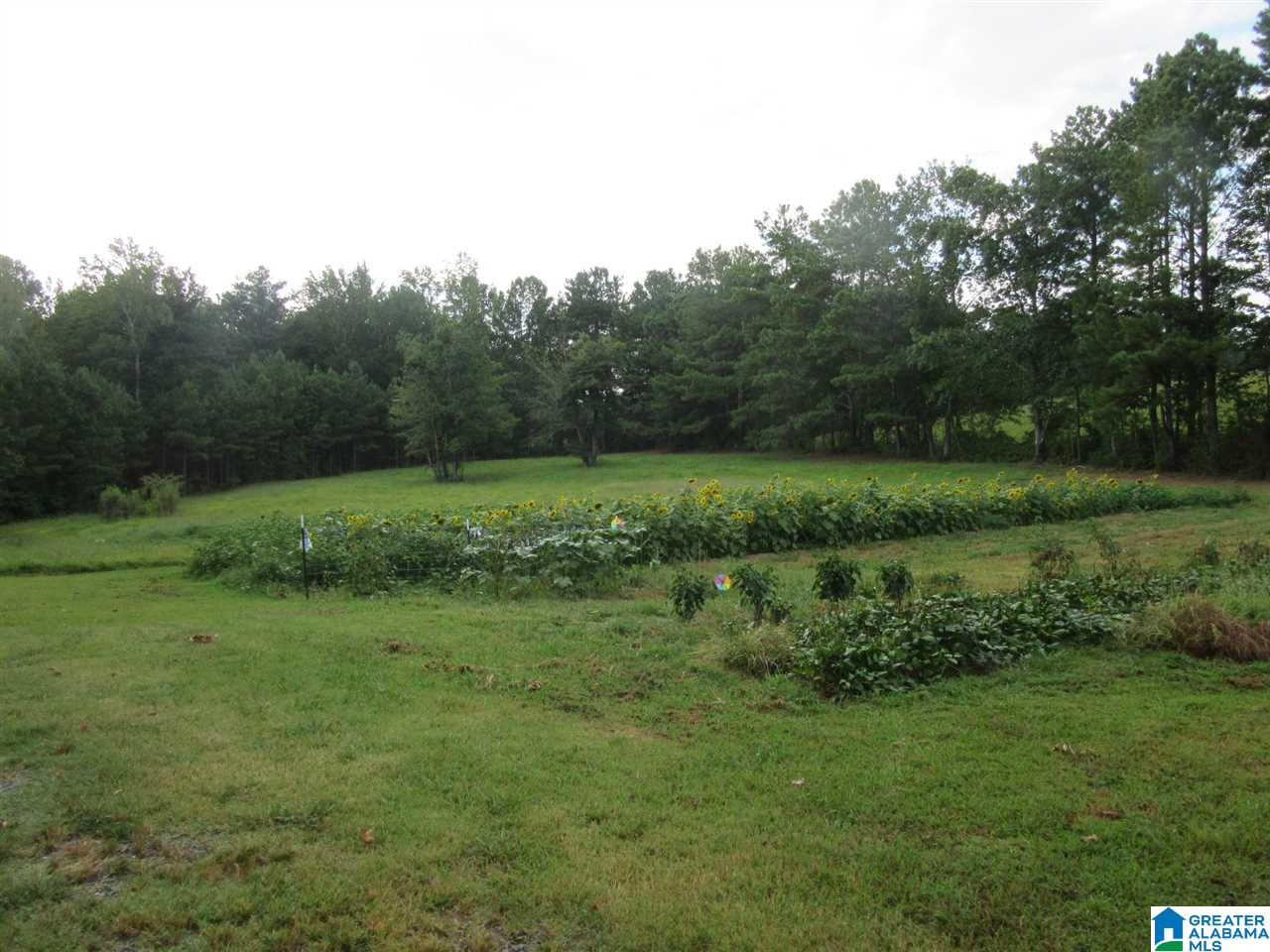 3260 Highway 27 Oneonta Al Oneonta, AL 35121 - Photo 28 of 37