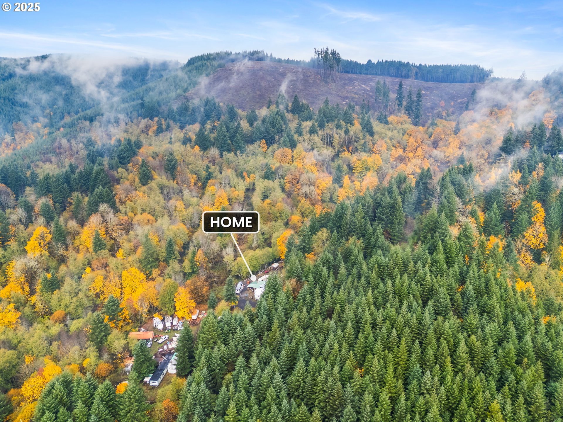 1586 King Road Winlock, WA 98596 - Photo 29 of 31