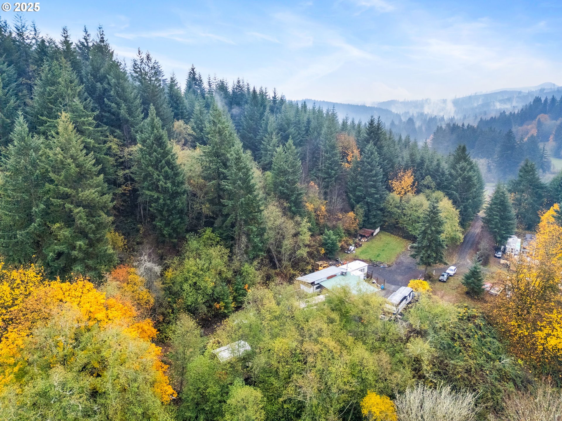 1586 King Road Winlock, WA 98596 - Photo 3 of 31 a view of a forest with a lake