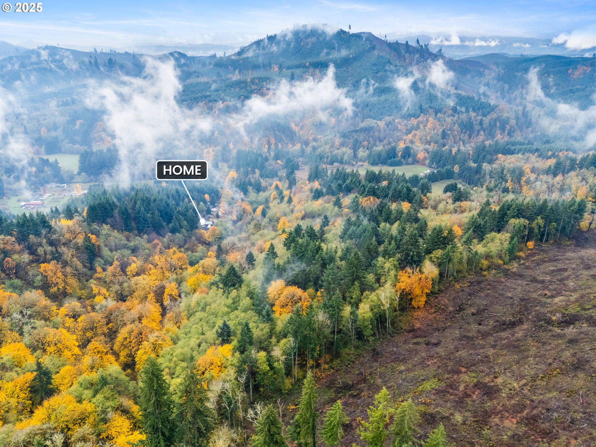 1586 King Road Winlock, WA 98596 - Photo 4 of 31 a view of a bunch of trees and bushes