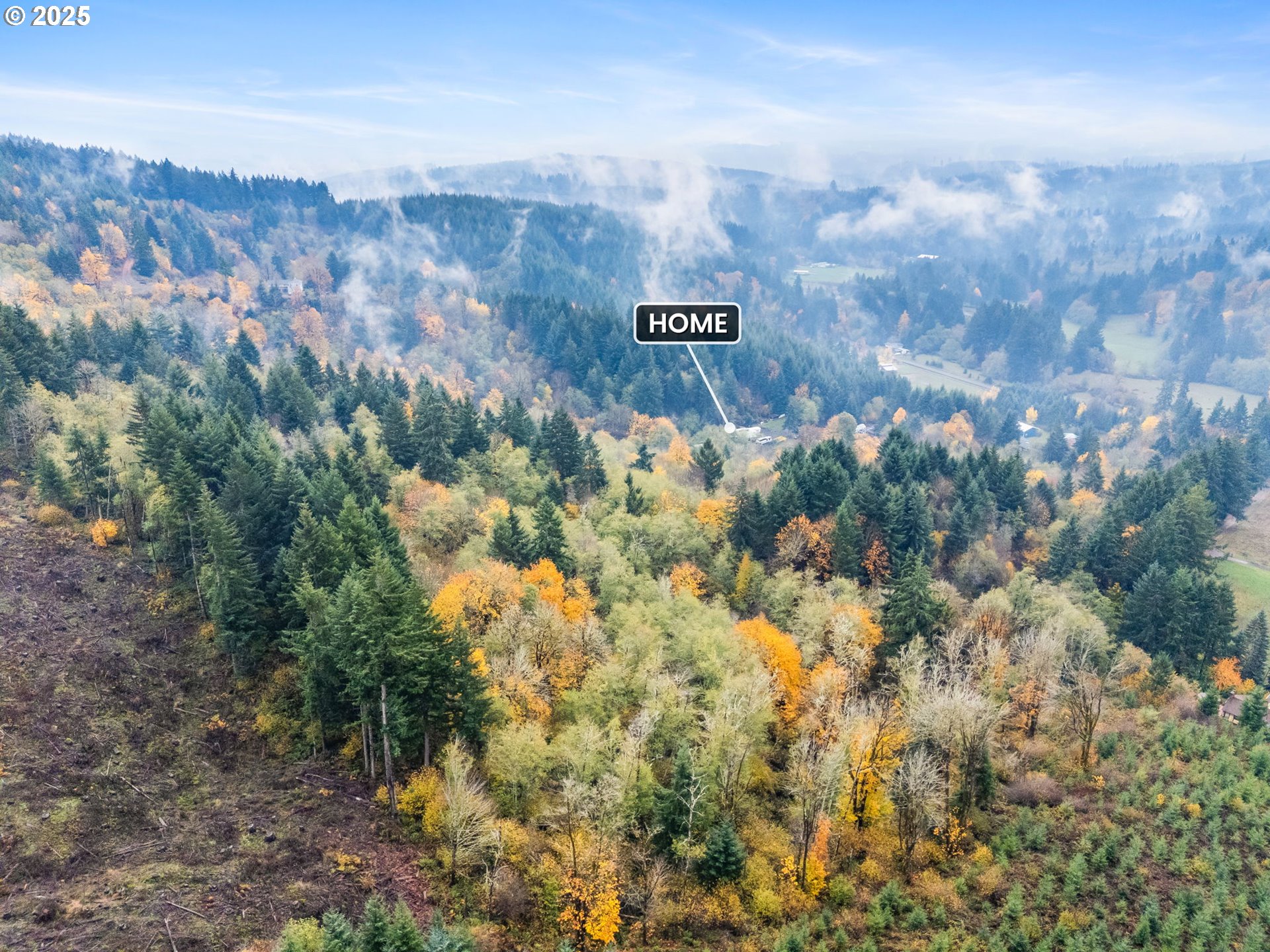 1586 King Road Winlock, WA 98596 - Photo 5 of 31 a view of a bunch of trees and bushes