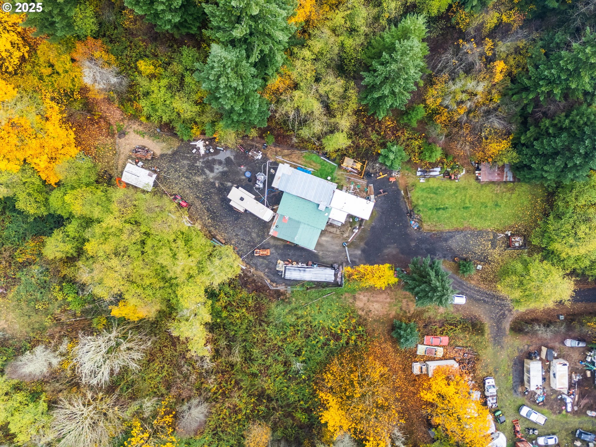 1586 King Road Winlock, WA 98596 - Photo 7 of 31 a view of a tree with a yard