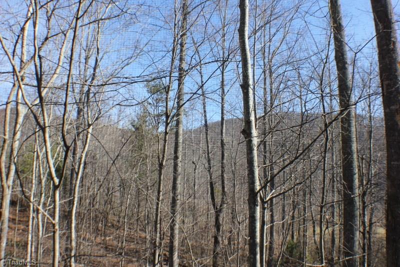 1036 Lumber Plant Road Lowgap, NC 27024 - Photo 22 of 30 Gallery Image 22