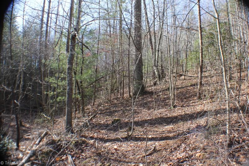 1036 Lumber Plant Road Lowgap, NC 27024 - Photo 23 of 30 Gallery Image 23