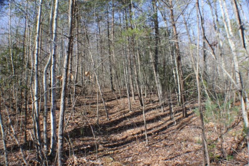1036 Lumber Plant Road Lowgap, NC 27024 - Photo 24 of 30 Gallery Image 24