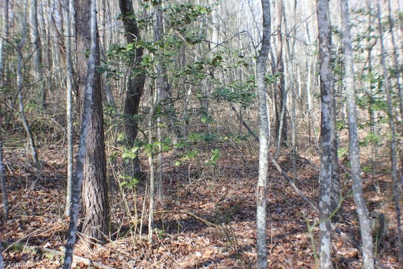 1036 Lumber Plant Road Lowgap, NC 27024 - Photo 25 of 30 Gallery Image 25