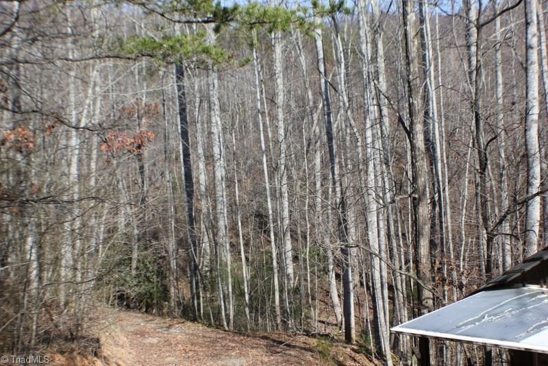 1036 Lumber Plant Road Lowgap, NC 27024 - Photo 26 of 30 Gallery Image 26