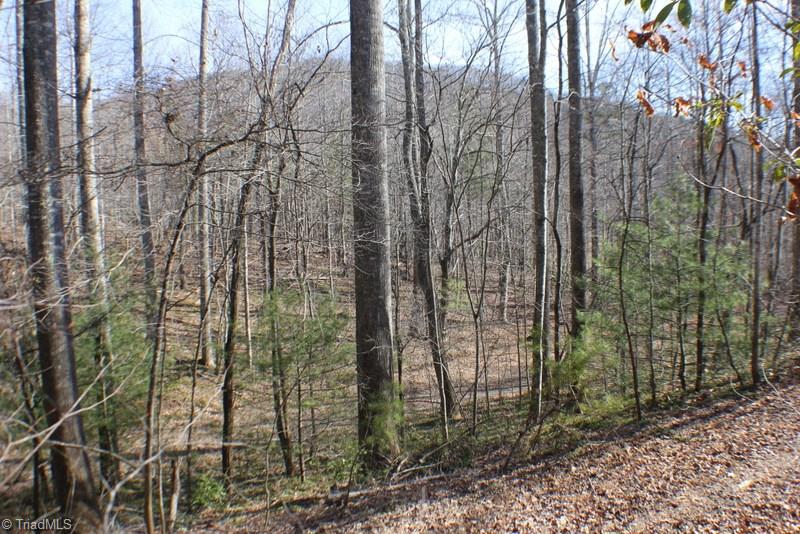 1036 Lumber Plant Road Lowgap, NC 27024 - Photo 27 of 30 Gallery Image 27