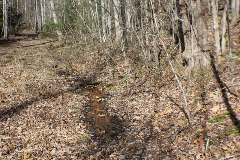 1036 Lumber Plant Road Lowgap, NC 27024 - Photo 28 of 30 Gallery Image 28