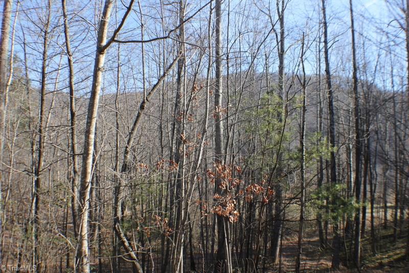 1036 Lumber Plant Road Lowgap, NC 27024 - Photo 29 of 30 Gallery Image 29
