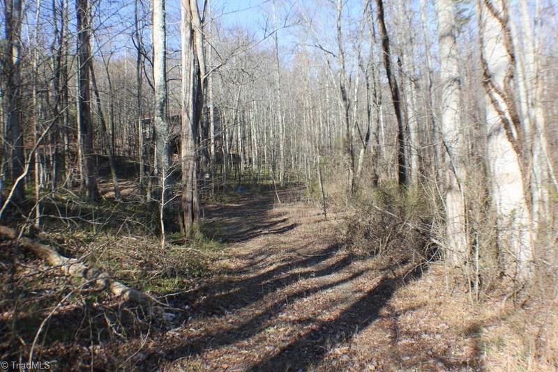 1036 Lumber Plant Road Lowgap, NC 27024 - Photo 8 of 30 Gallery Image 8
