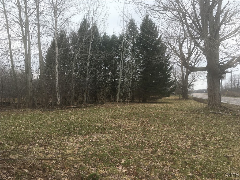 Rome Road Pulaski, NY 13142 - Photo 11 of 13