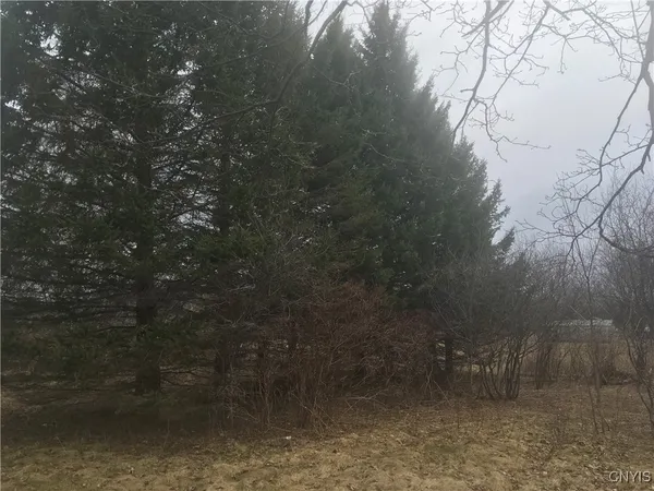 $29,000 | Rome Road, Pulaski, NY 13142