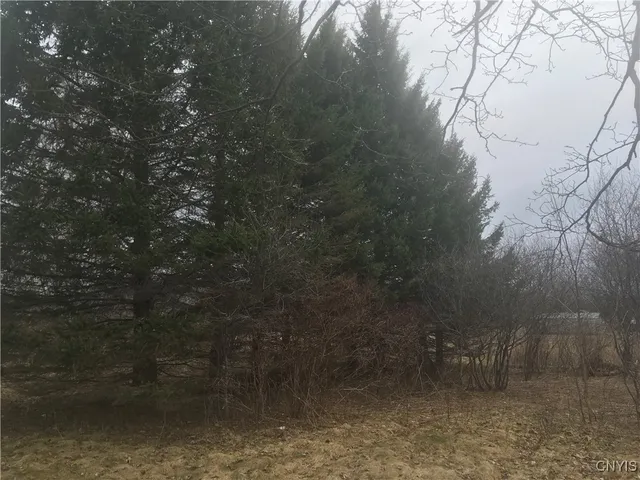 $29,000 | Rome Road, Pulaski, NY 13142