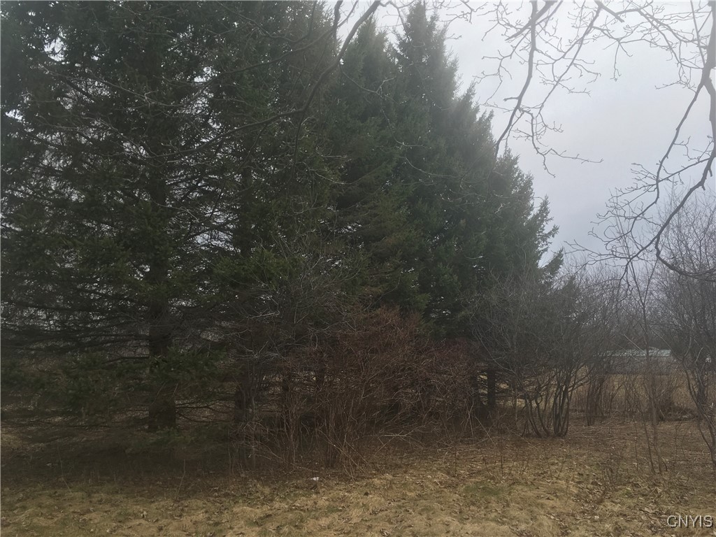 Rome Road Pulaski, NY 13142 - Photo 12 of 13