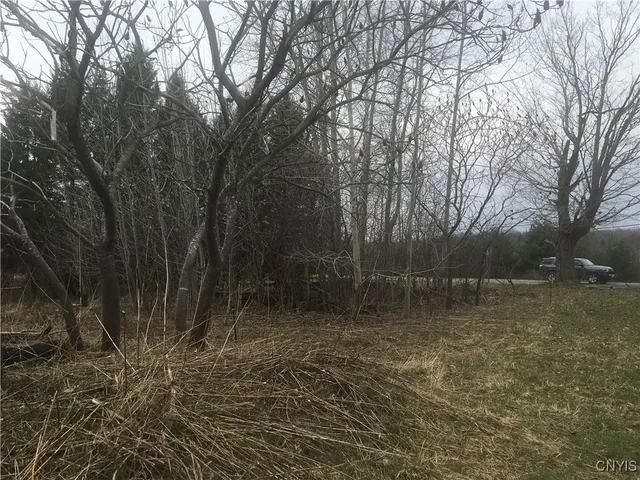 $29,000 | Rome Road, Pulaski, NY 13142