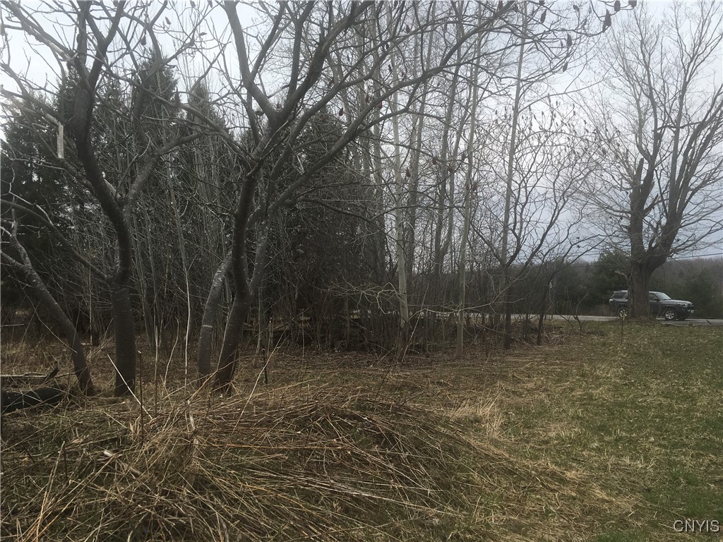 Rome Road Pulaski, NY 13142 - Photo 13 of 13