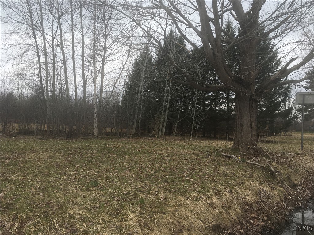 Rome Road Pulaski, NY 13142 - Photo 2 of 13