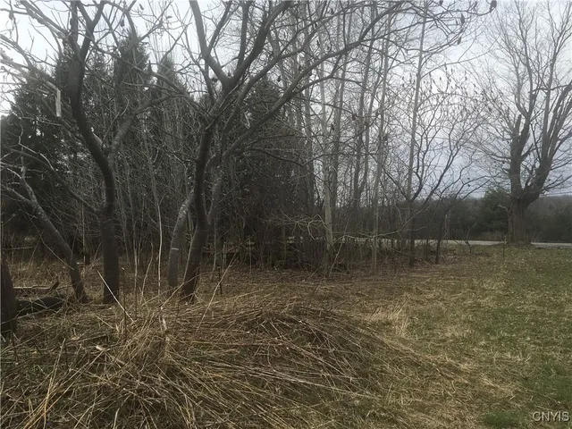 $29,000 | Rome Road, Pulaski, NY 13142