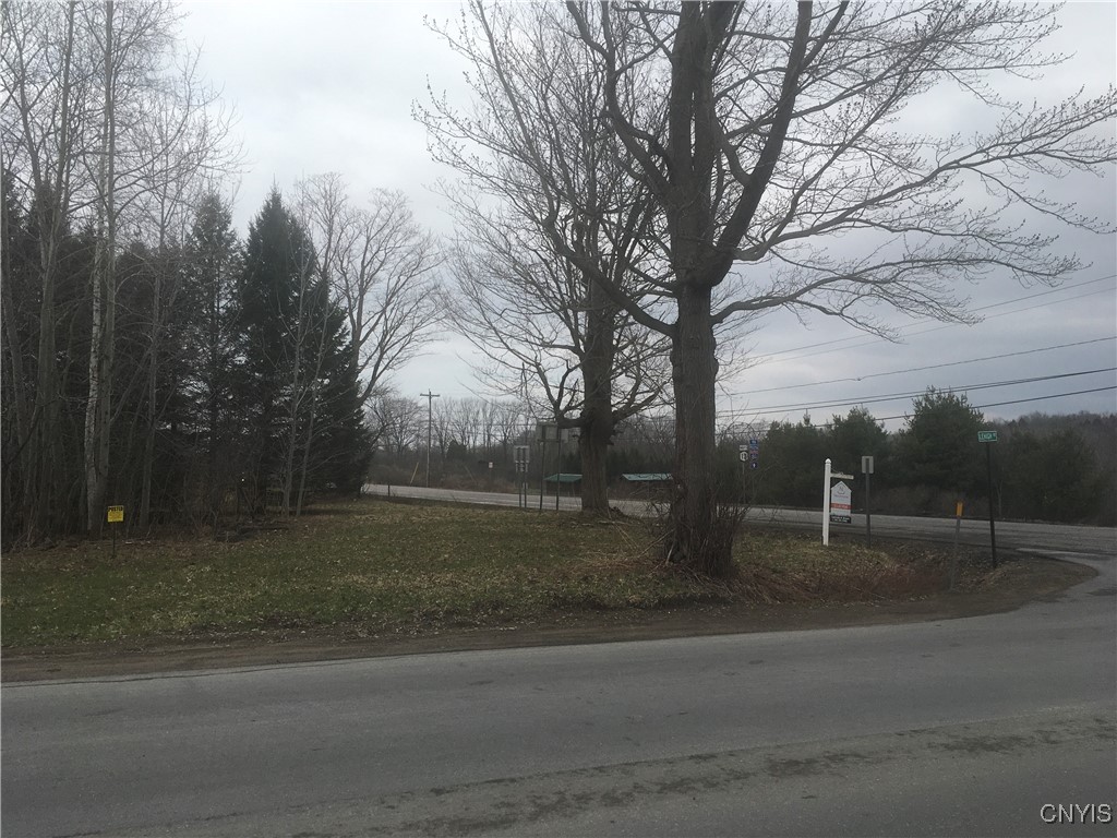 Rome Road Pulaski, NY 13142 - Photo 8 of 13