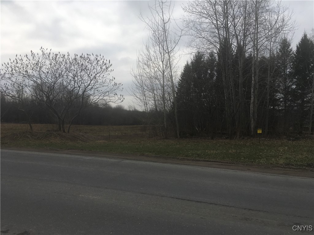 Rome Road Pulaski, NY 13142 - Photo 9 of 13